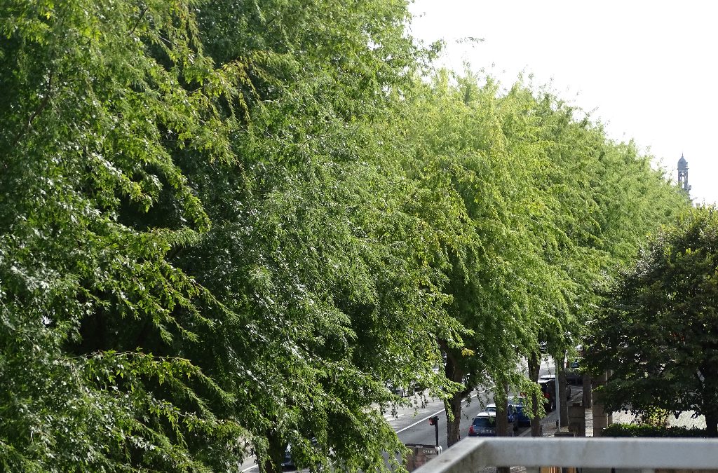 A vendre appartement 75.16 m² 
VILLEFRANCHE SUR SAONE