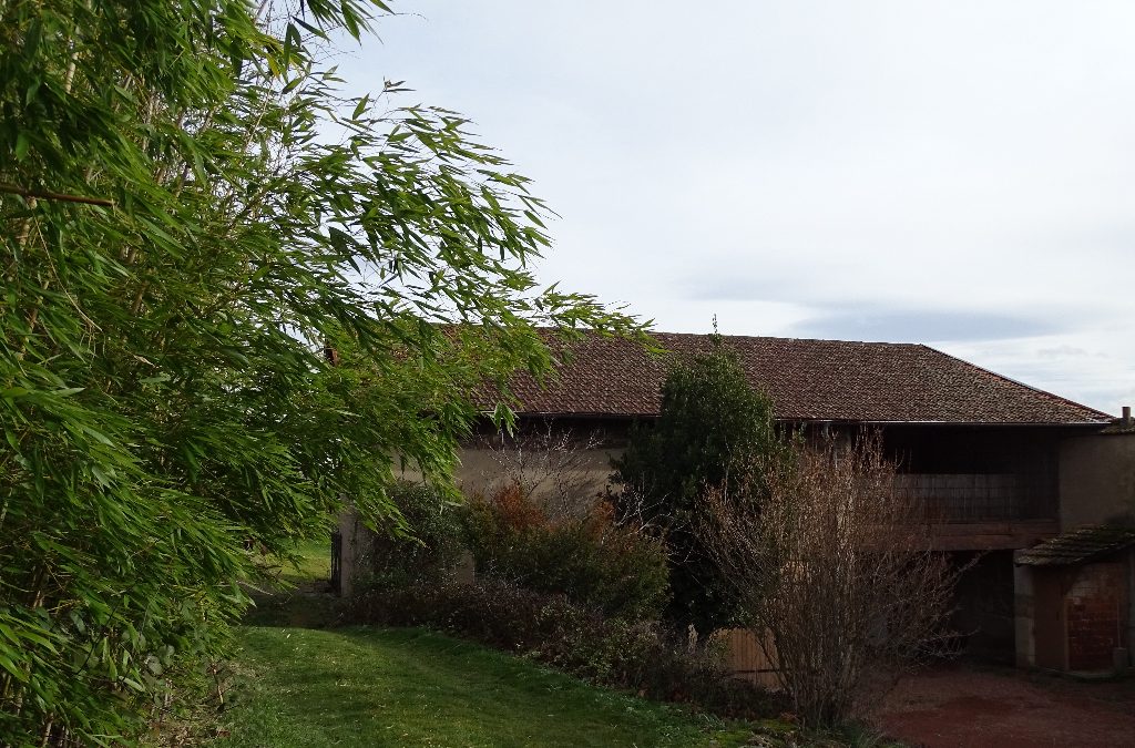 A vendre domaine agricole et viticole 301 m² 
SAINT ETIENNE DES OULLIERES