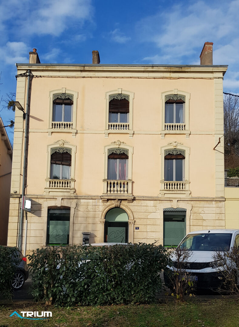 
Bien d'exception au coeur de Trévoux , Appartement bourgeois, dépendances et terrain privé
